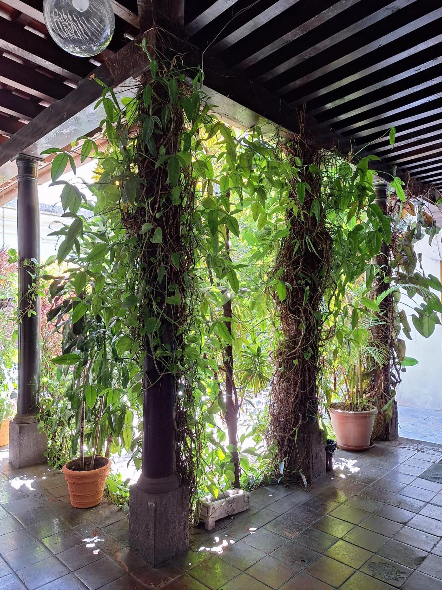 Hotel Spring Guatemala-Stad Buitenkant foto